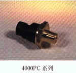 ��ϸ��������...