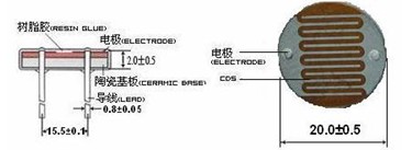 ��������GM205