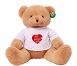 ���� ����ʶ��B