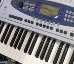 ȫ����61��������